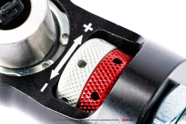 AMS V10 Suspension 14