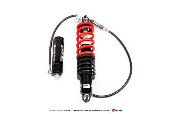 AMS V10 Suspension 15