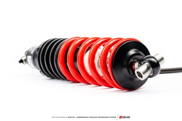 AMS V10 Suspension 16