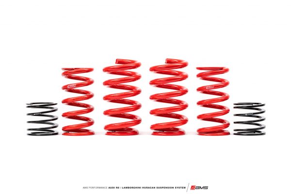 AMS V10 Suspension 19